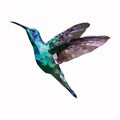 Diamond green low poly image of flying bird with beautiful wings Royalty Free Stock Photo