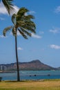 Diamond Head Waikiki with Palm Trees Oahu Royalty Free Stock Photo