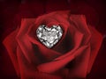 Diamond heart on a Rose Flower on background of beautiful red rose petals Royalty Free Stock Photo