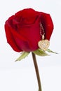 Diamond heart shape pendant and red rose Royalty Free Stock Photo