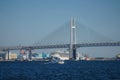 Diamond Princess anchored to Daikokufuto luxury liner Royalty Free Stock Photo