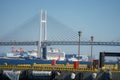 Diamond Princess anchored to Daikokufuto luxury liner Royalty Free Stock Photo