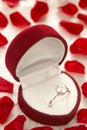 Diamond Ring In Box Surrounded By Rose Royalty Free Stock Photo