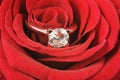 Diamond ring on red rose Royalty Free Stock Photo