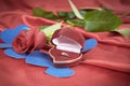 Diamond ring and rose on bright red background Royalty Free Stock Photo
