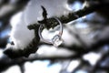 Diamond ring in winter scene Royalty Free Stock Photo