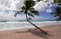 The Diamond rock and Caribbean beach , Martinique island. Royalty Free Stock Photo