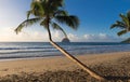 The Diamond rock and Caribbean beach , Martinique island. Royalty Free Stock Photo