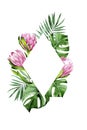 Diamond shaped frame with watercolor tropical leaves and flowers. green leaves of palm, monstera and pink protea flowers on a whit Royalty Free Stock Photo