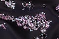 Diamond (small purple jewel) stones over black Royalty Free Stock Photo