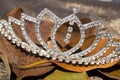 Diamond Tiara On A Bed Of Brown Autumn Leaves Royalty Free Stock Photo