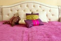 Diamond upholstery bed head pink blanket Royalty Free Stock Photo