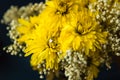 A diamond wedding band in a boquet of yellow and white flowers - wide angle