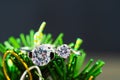 Diamond wedding rings on green leaves Royalty Free Stock Photo