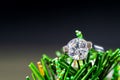 Diamond wedding rings on green leaves Royalty Free Stock Photo