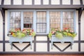 diamond windows with flower boxes on a tudor house Royalty Free Stock Photo