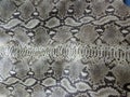 Diamondblack rattlesnake skin pattern.