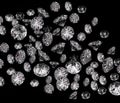 Diamonds group on black background. Royalty Free Stock Photo