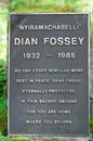 Dian Fossey's grave