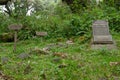 Dian Fossey's grave besides her most beloved gorillas known from the movie gorillas in the mist