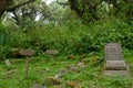 Dian Fossey's grave besides her most beloved gorillas known from the movie gorillas in the mist