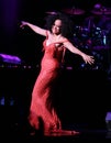 Diana Ross Performs in Concert