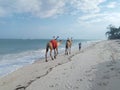 diani beach Camels