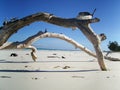 Diani Beach Genral View Royalty Free Stock Photo