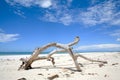 Diani Beach Genral View