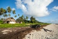 Diani beach in Kenya. Beautiful view of old w Royalty Free Stock Photo