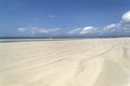 Diani beach in Kenya at low tide Royalty Free Stock Photo