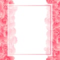 Dianthus caryophyllus - Pink Carnation Flower Banner Card Border. Vector Illustration Royalty Free Stock Photo