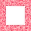 Dianthus caryophyllus - Pink Carnation Flower Banner Card Border. Vector Illustration Royalty Free Stock Photo