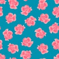 Dianthus caryophyllus - Pink Carnation Flower on Blue Background. Vector Illustration Royalty Free Stock Photo