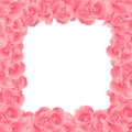 Dianthus caryophyllus - Pink Carnation Flower Border. Vector Illustration Royalty Free Stock Photo