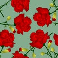 Dianthus caryophyllus - Red Carnation Flower on Green Background. Vector Illustration Royalty Free Stock Photo