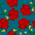 Dianthus caryophyllus - Red Carnation Flower on Indigo Blue Background. Vector Illustration Royalty Free Stock Photo