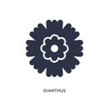 dianthus icon on white background. Simple element illustration from nature concept