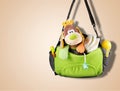 Diaper bag Royalty Free Stock Photo