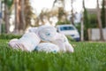 Diapers waste, dirty diapers in nature. Disposing of used baby nappies. Environmental Impact of Disposable Diapers. Pollution of