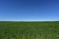 Diaphanous day, blue and green landscape