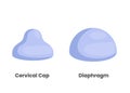 Diaphragm and cervical cap