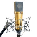 Diaphragm condenser studio microphone with shock-mount, 3D rendering Royalty Free Stock Photo