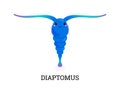 Diaptomus water microorganism or animal with antennae, flat vector isolated.