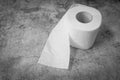 Diarrhea, constipation or digestive problems concept. Soft toilet paper roll on textured gray background for article, banner or Royalty Free Stock Photo