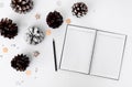 Diary christmas composition for christmas time. cones and christmas decorations on white background.