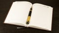 Diary and fountain pen Royalty Free Stock Photo