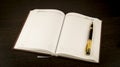 Diary and fountain pen Royalty Free Stock Photo
