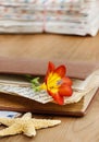 Diary, old letters and red freesia flower Royalty Free Stock Photo