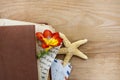 Diary, old letters and red freesia flower Royalty Free Stock Photo